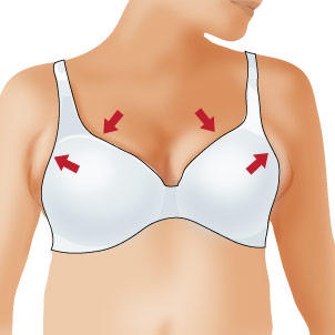 cartoon image of a bra
