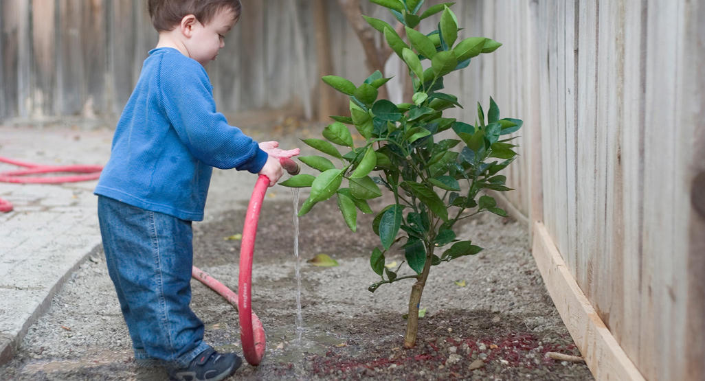 boy watering a tree with a hose