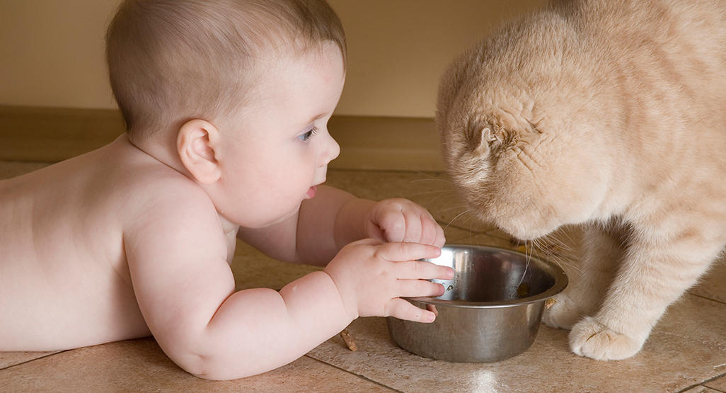 baby lying on the floor and sharing some food with a cat, from a cat food bowl