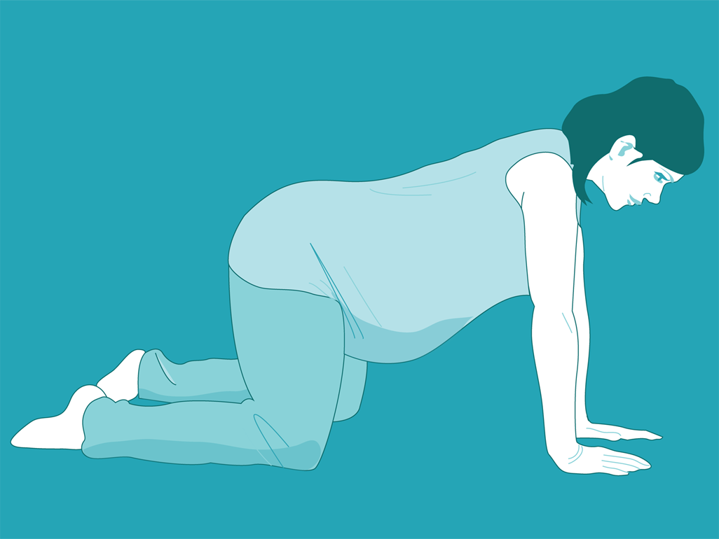 illustration of a pregnant woman on all fours to assist with labor